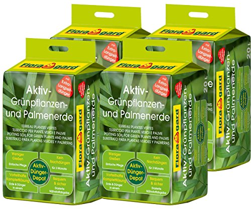 Floragard Aktiv-Grünpflanzen- und Palmenerde 4x20 L • Spezialerde für Palmen, Farne, Ficus,...
