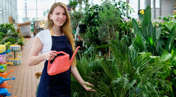 Palme gießen Welches Wasser, wie oft und wie viel? Komplette Anleitung